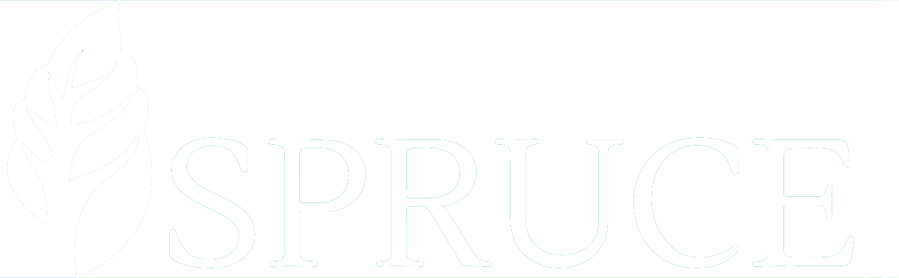 بازرگانی صنوبر